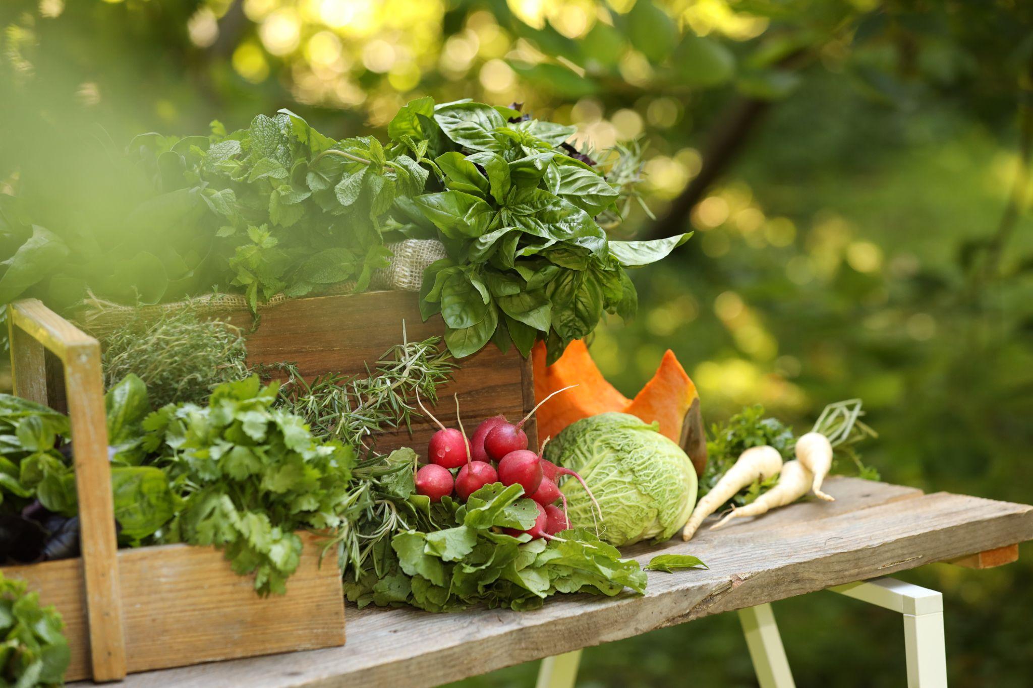 POtager